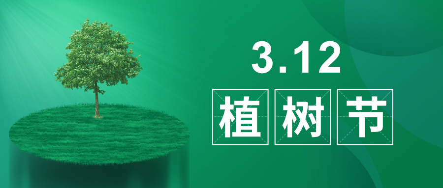 3.12植樹節(jié)|除了植樹，我們還能做什么？